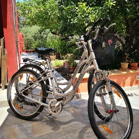 Manyolas 93 Alaro